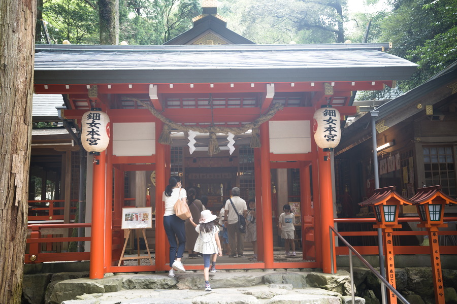 tsubaki