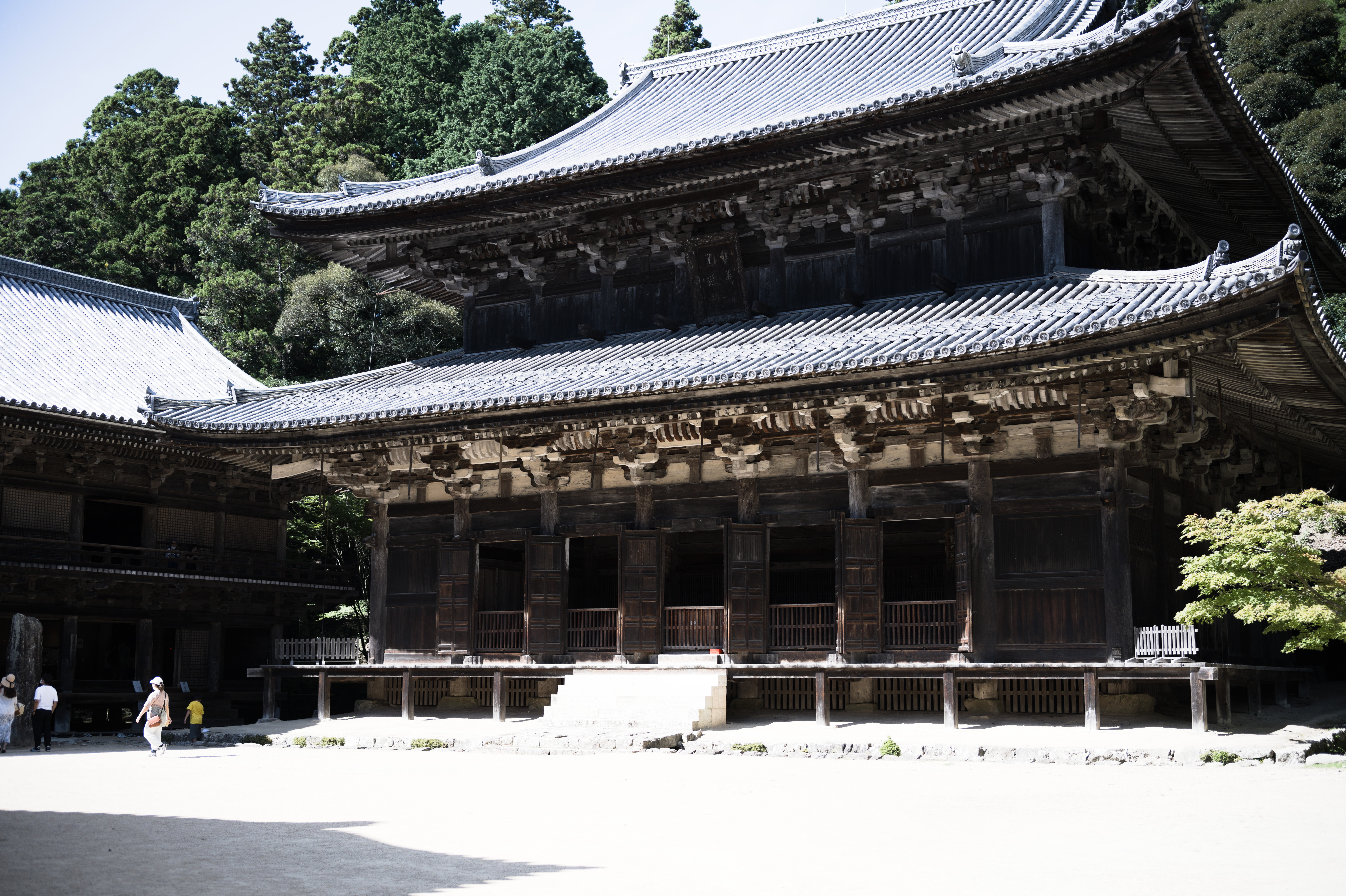 daikodo