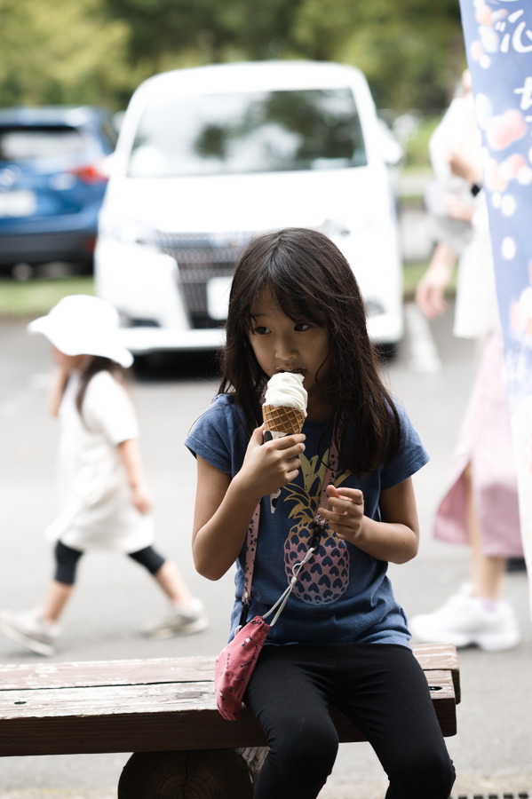 cheese ice cream?
