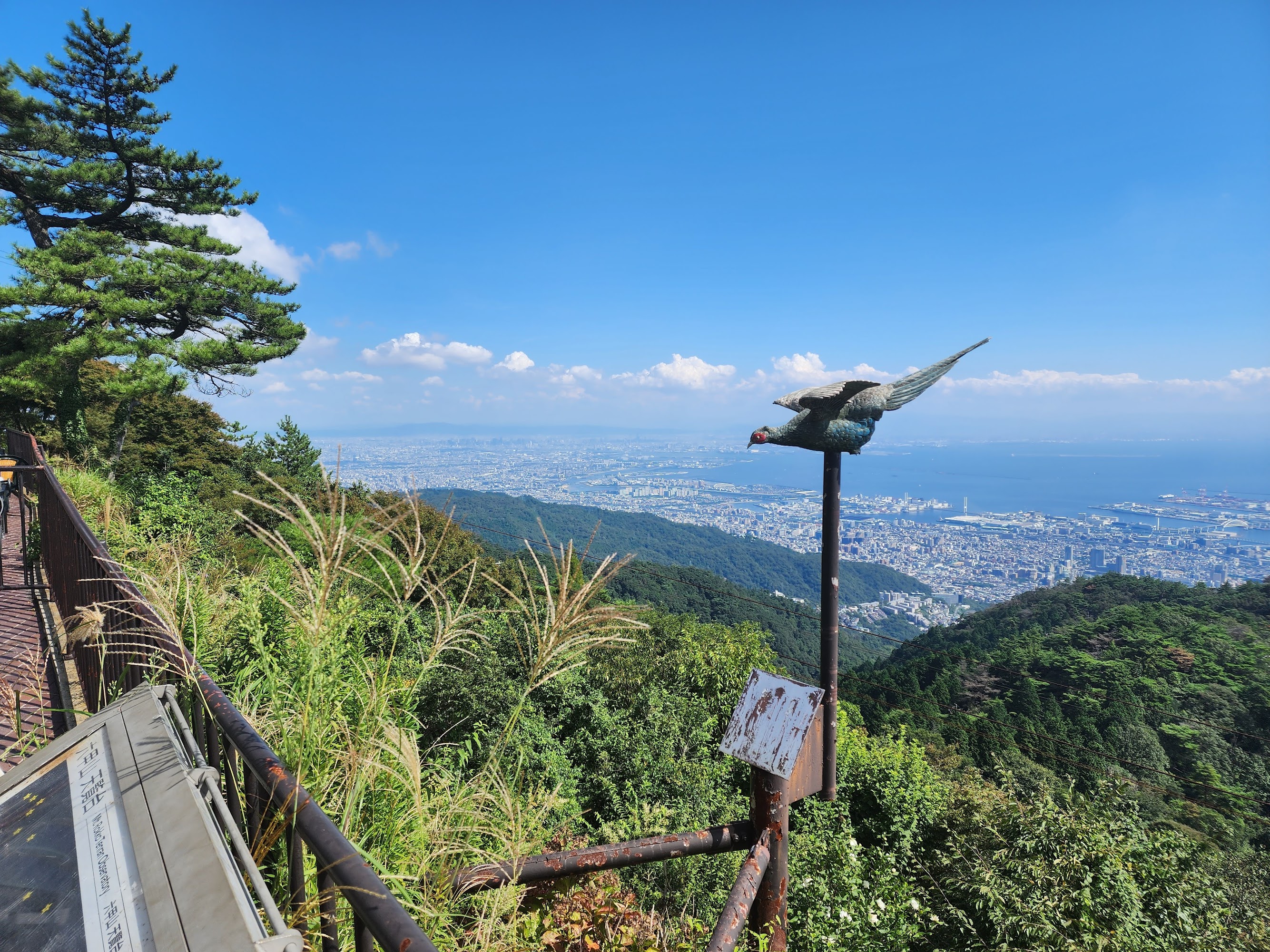 view