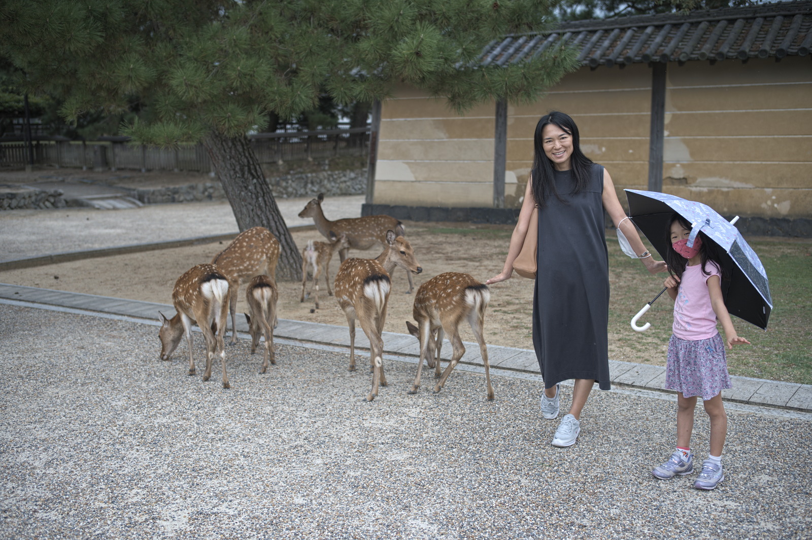 deer