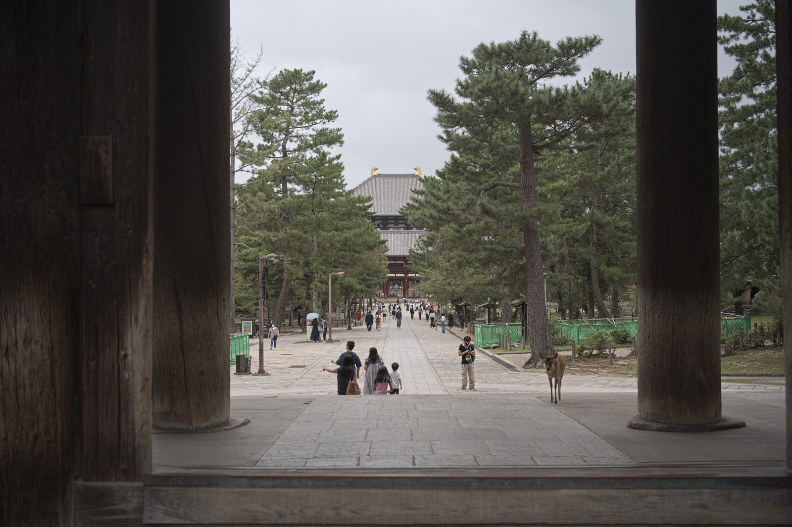 gate2