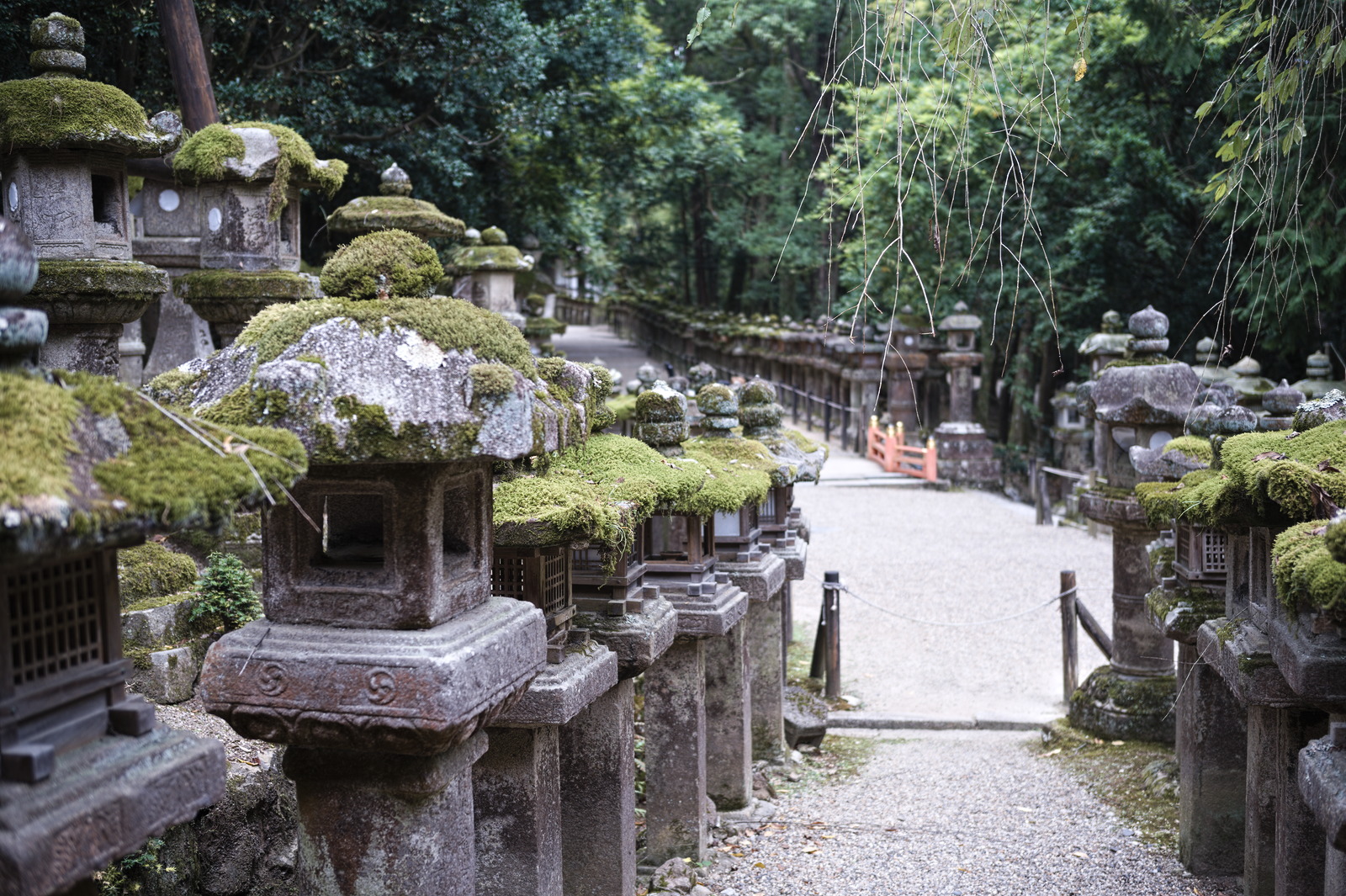 stone lanterns