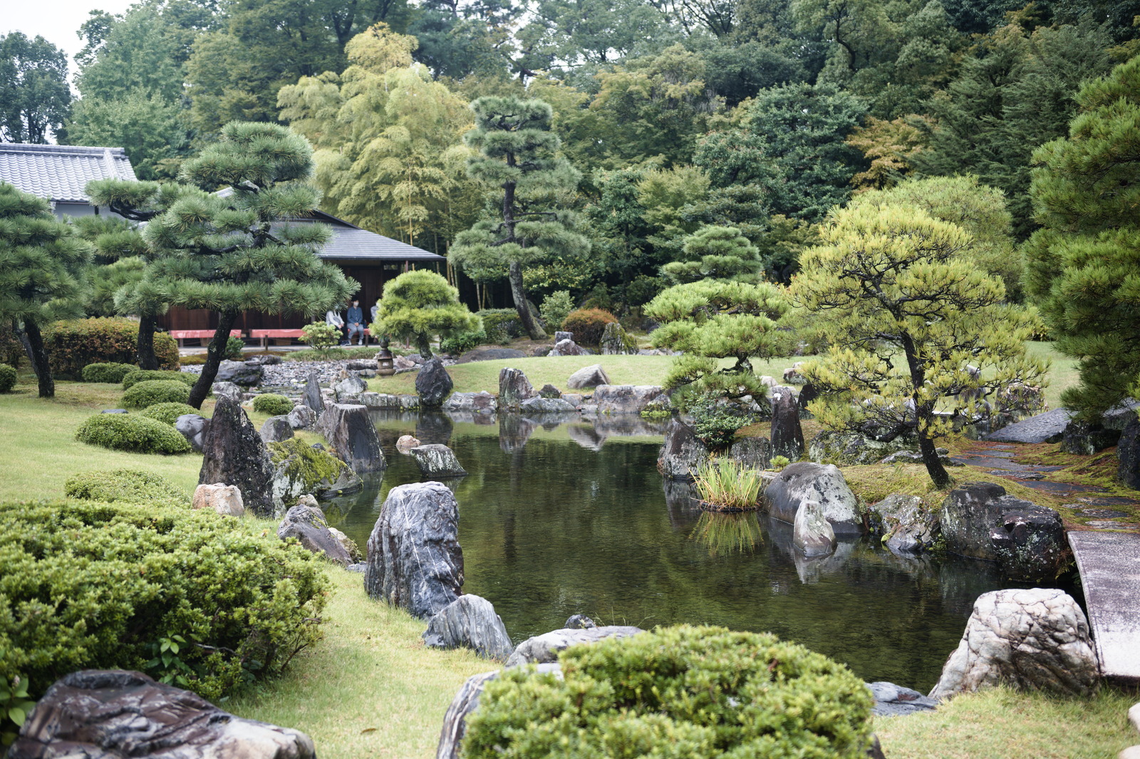 garden