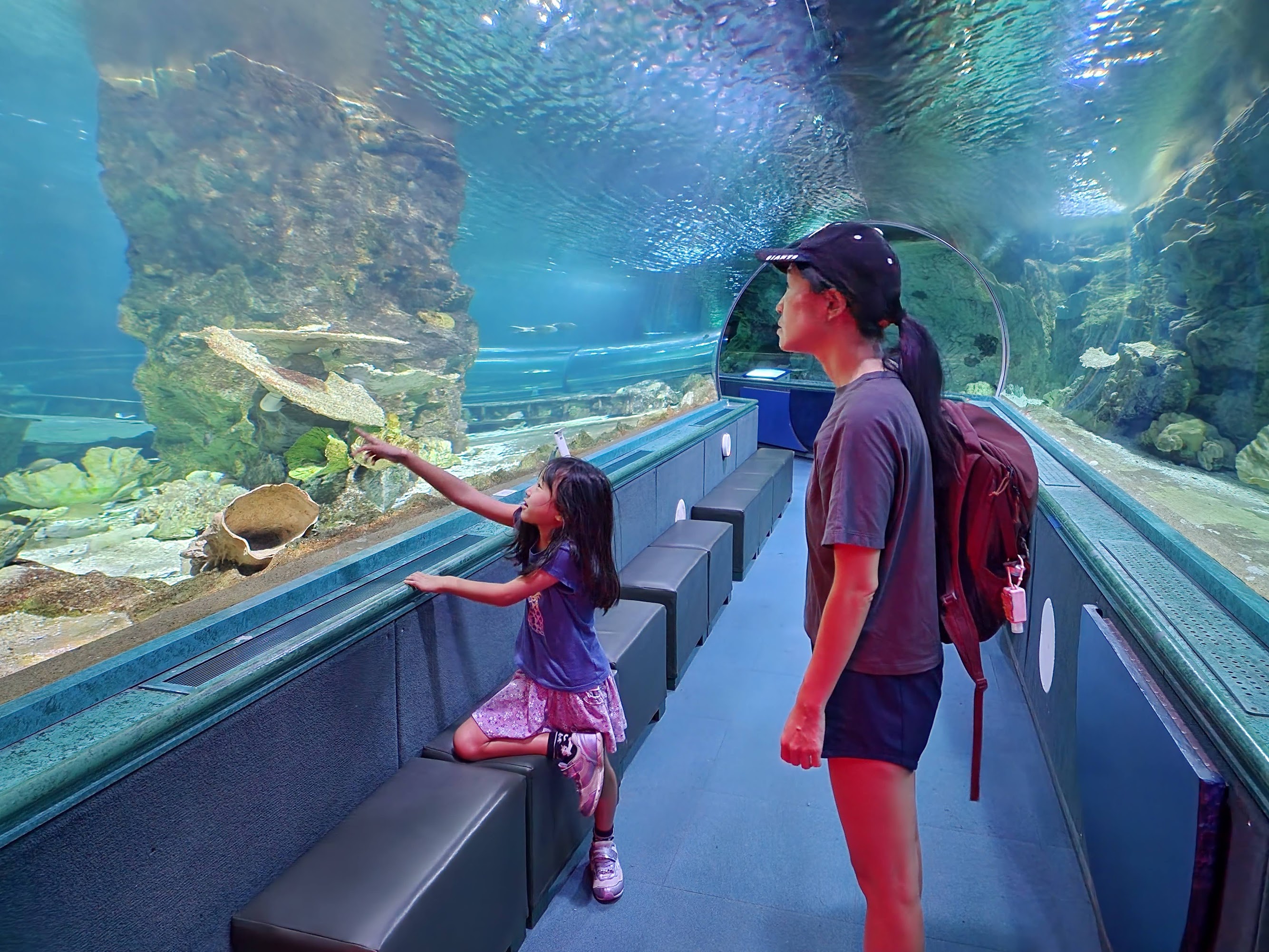 aquarium