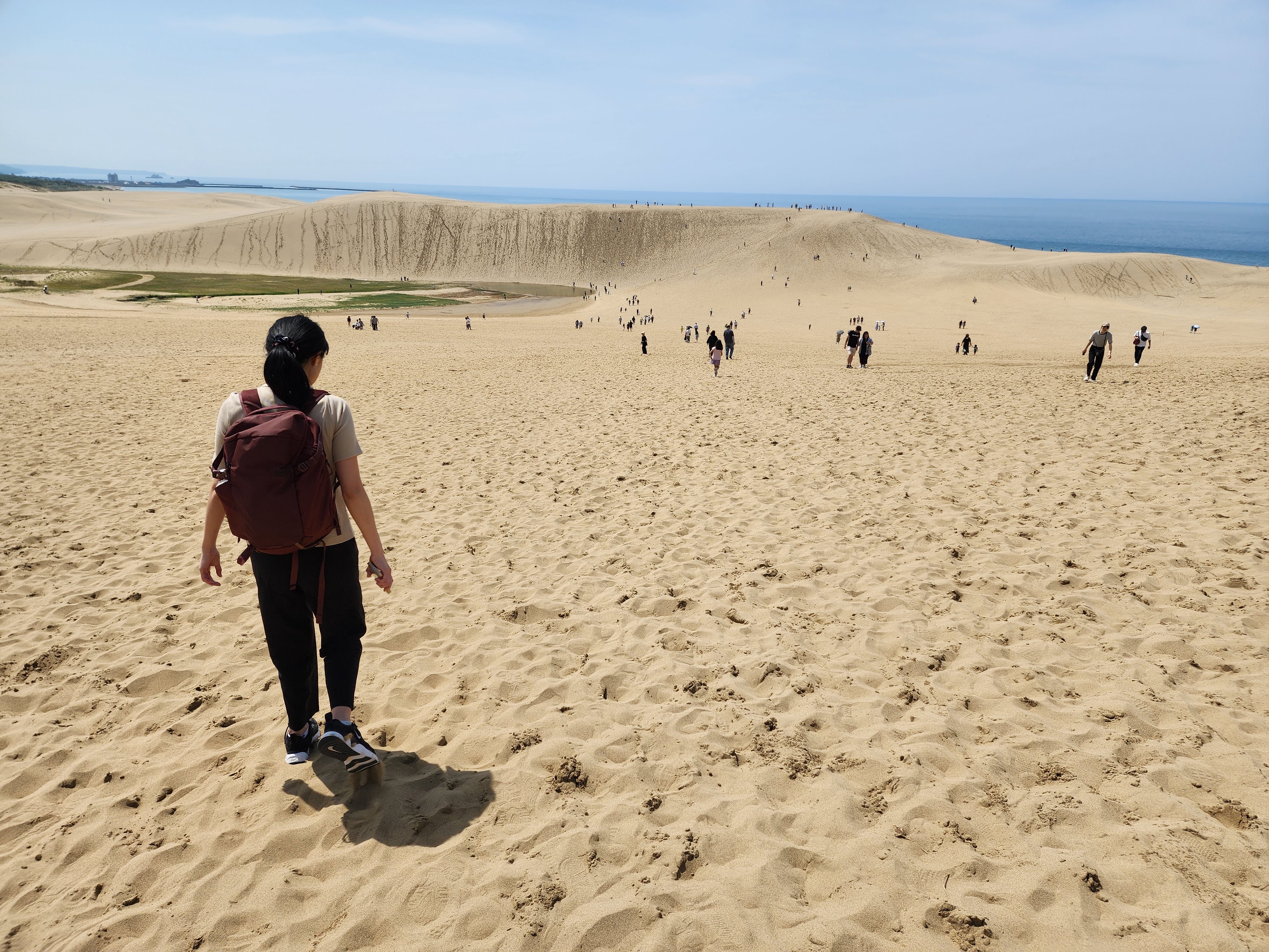 dunes
